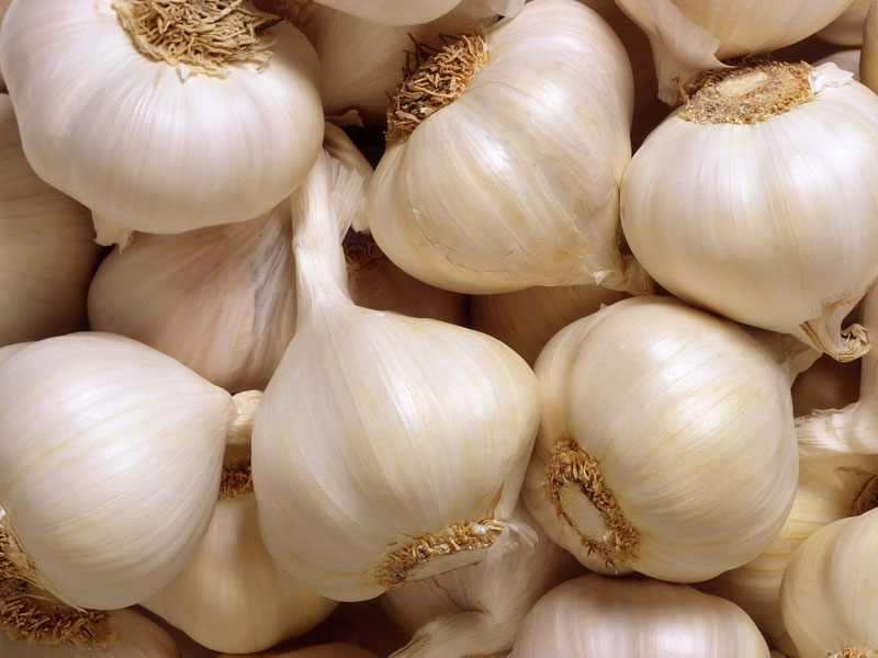 Fresh Garlic